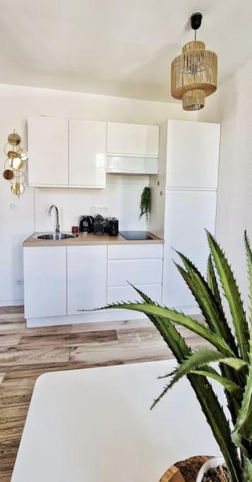 New #Boheme Chic# Pied De La Cite #2 Apartment Carcassone Exterior photo